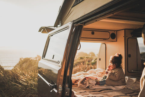“Chewie” the 1985 Volkswagen Westfalia — photo 5
