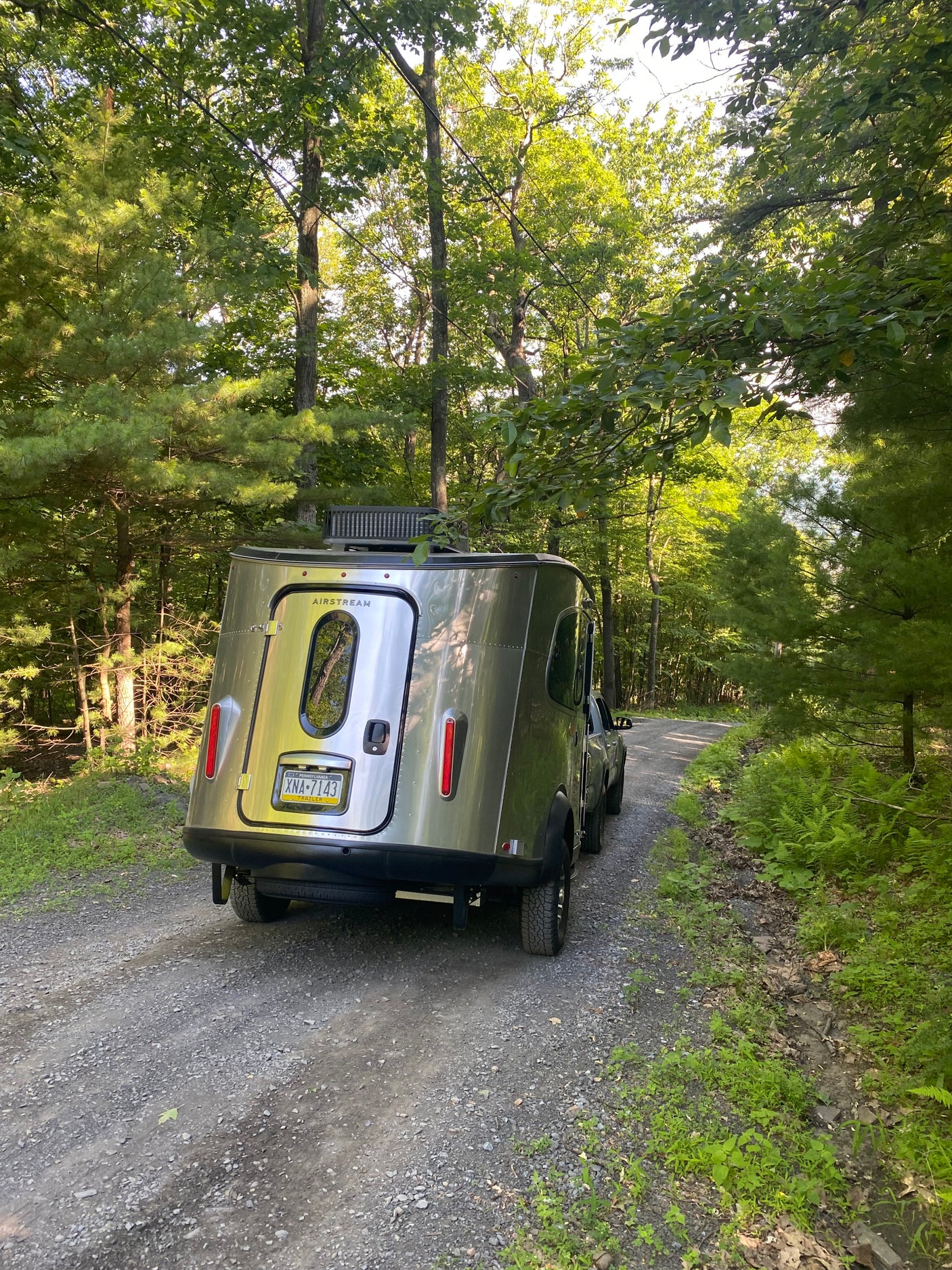 A shiny Airstream rv rental navigates a gravel forest road, surrounded by lush green trees and ferns on a sunny day.
