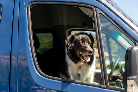 2016 Sprinter - Family and Pet Friendly Adventure Van — photo 5