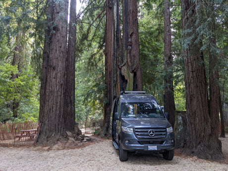 RV rental van parked among towering redwood trees. A dark grey Mercedes-Benz Sprinter on a gravel path in a serene forest.