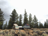 Experience the outdoors with an RV rental! Two VW Westfalia camper vans are set up in a scenic, treed campsite under a cloudy sky.