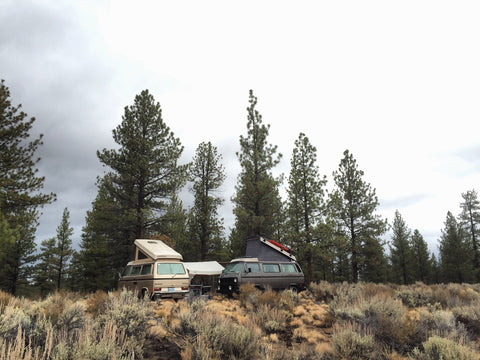 Van #3 - Wolf — photo 3