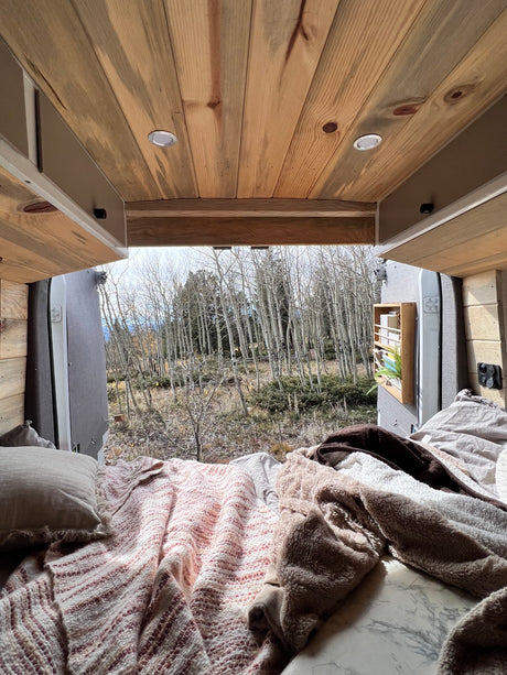 Cozy RV rental interior with a stunning view of an aspen forest from the comfy bed.