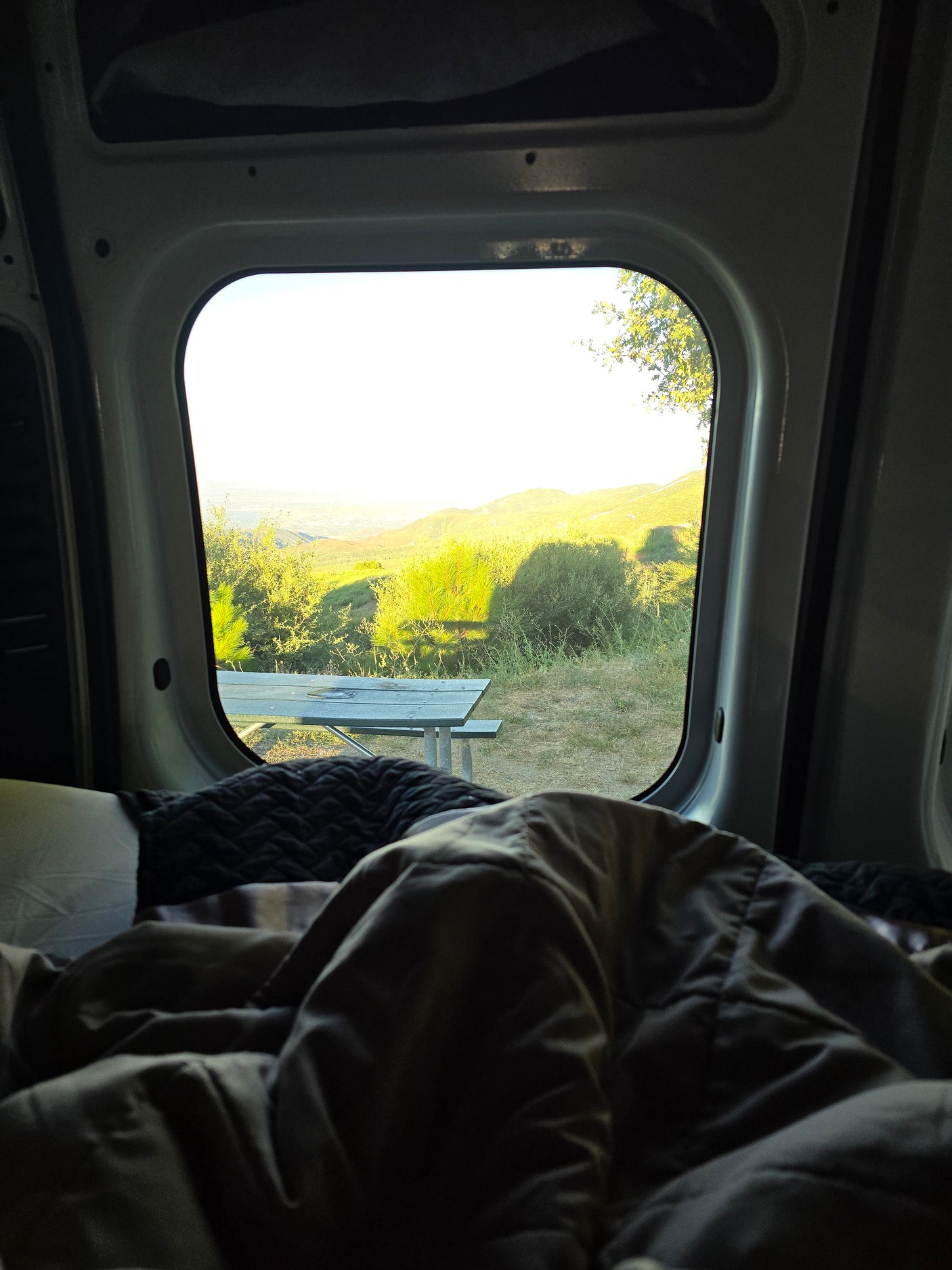 Scenic RV rental morning view from a comfy camper van bed, overlooking sunlit green hills & a picnic table.