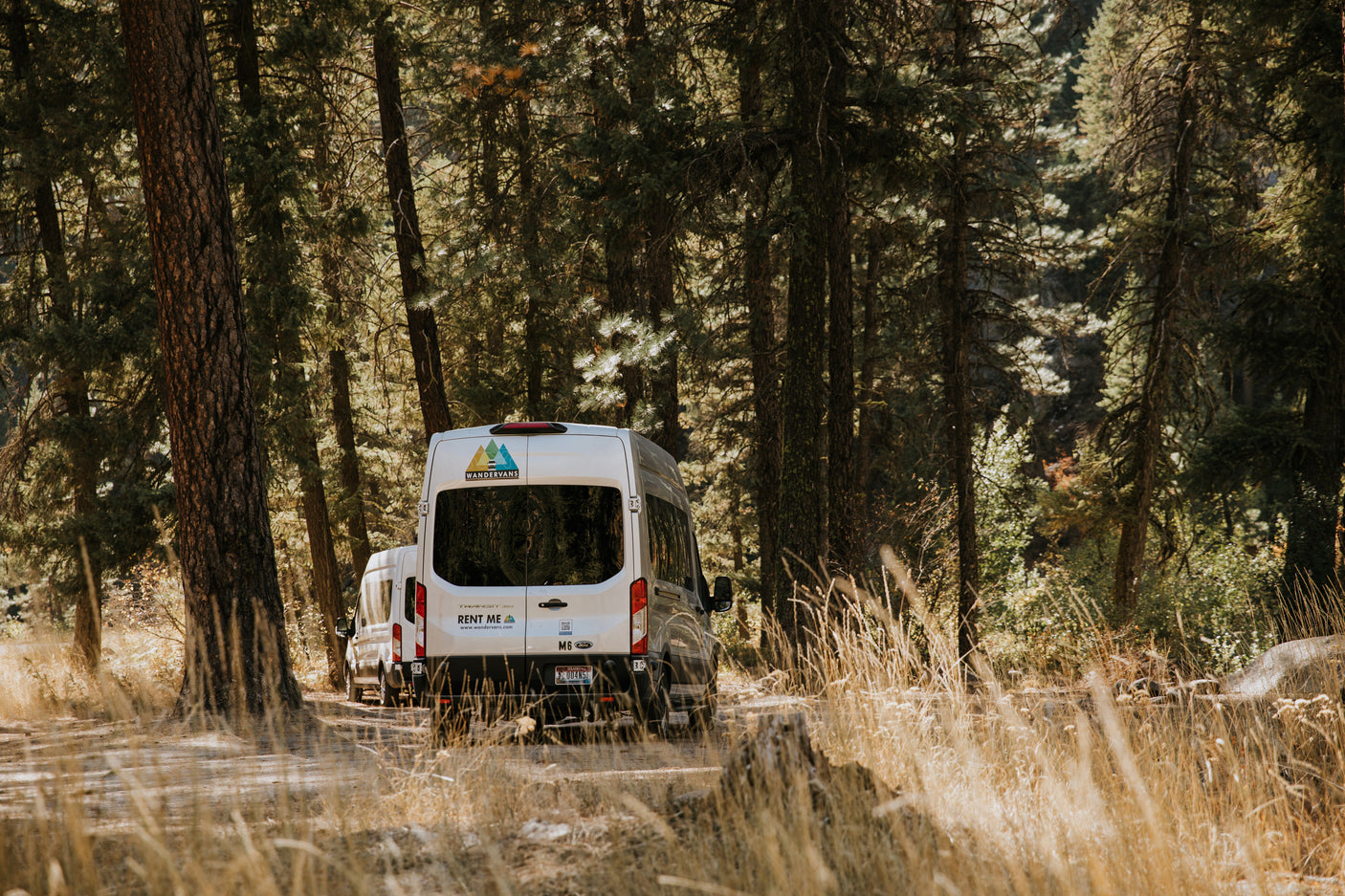 Wandervans Medium