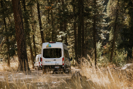 Wandervans Medium