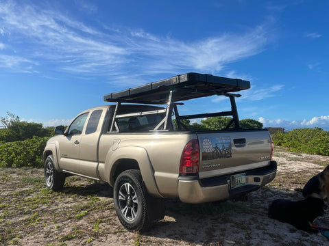 Golden Panda - 2006 Toyota Tacoma — photo 2