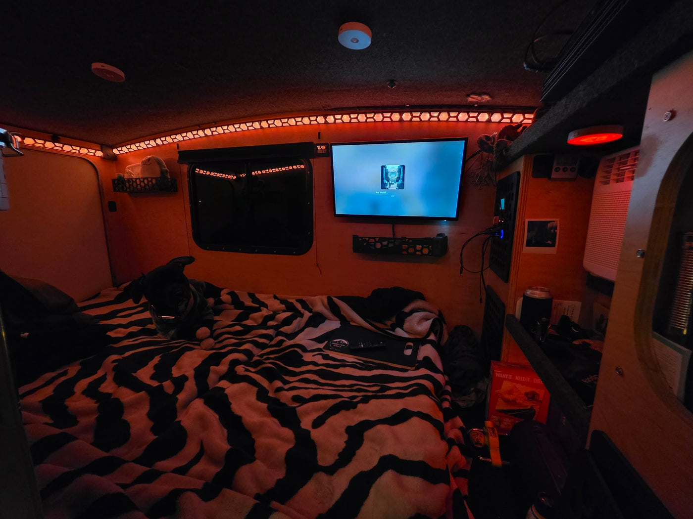  canopy — photo 4