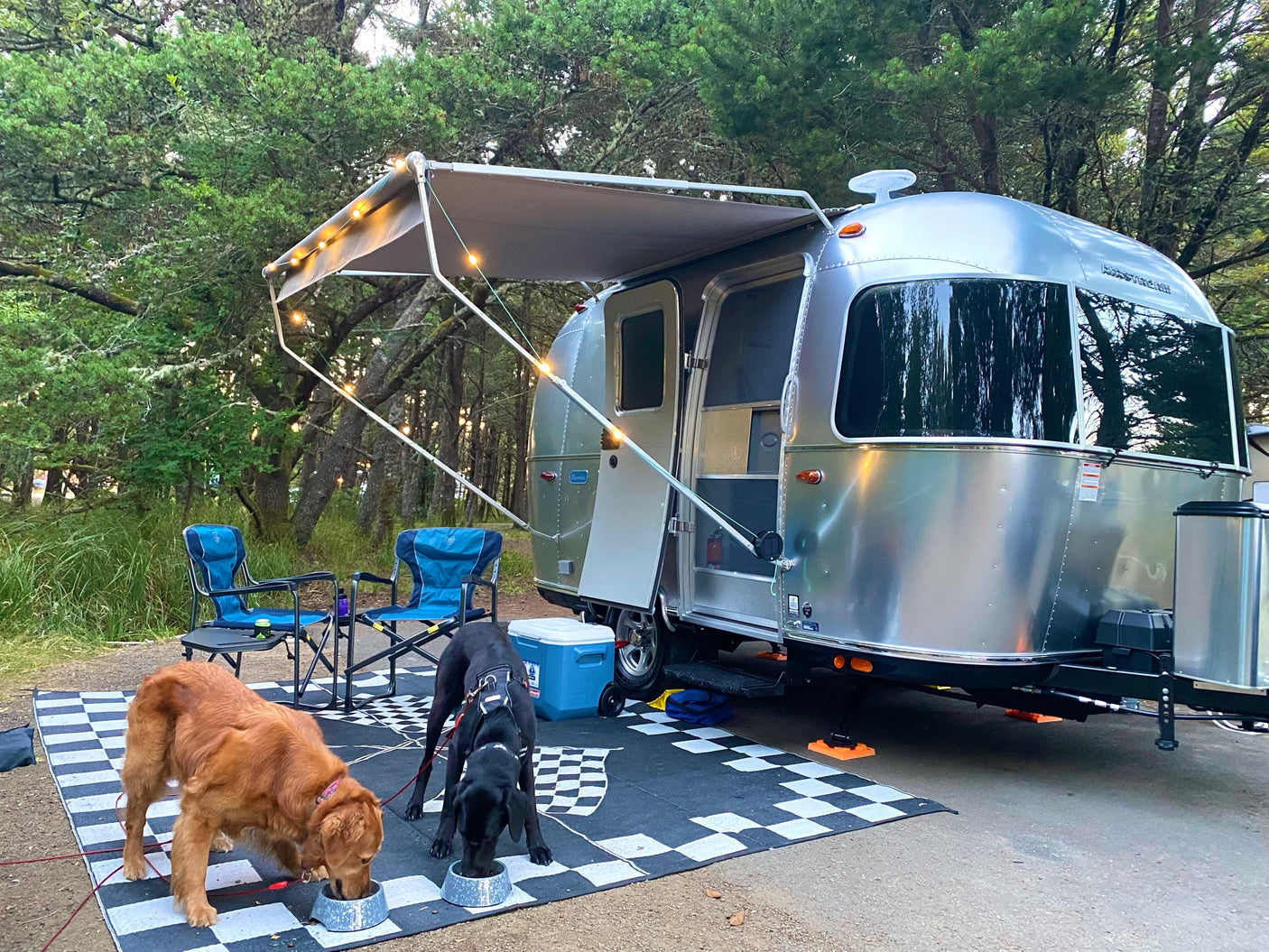 Camping with an Airstream RV rental: two dogs enjoy dinner outside a travel trailer with an awning and string lights.