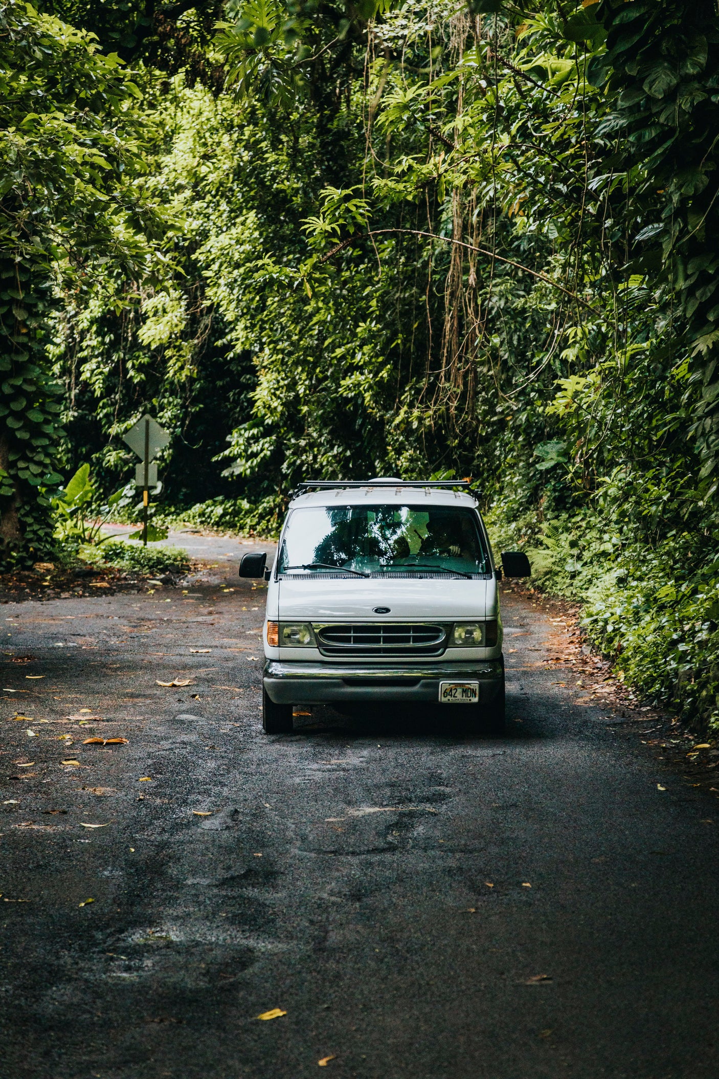 White Ford RV rental van on a winding road through lush Hawaiian jungle, inviting a nature road trip.