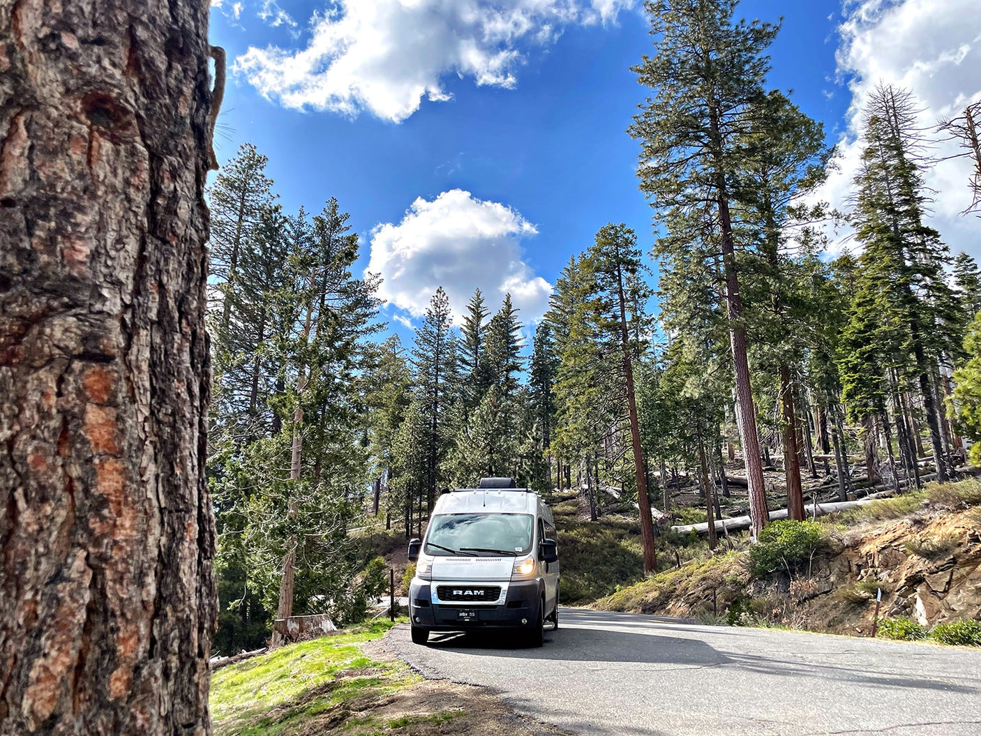 White RV rental on a winding mountain road, surrounded by tall pine trees & bright blue sky.