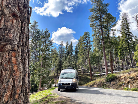 White RV rental on a winding mountain road, surrounded by tall pine trees & bright blue sky.