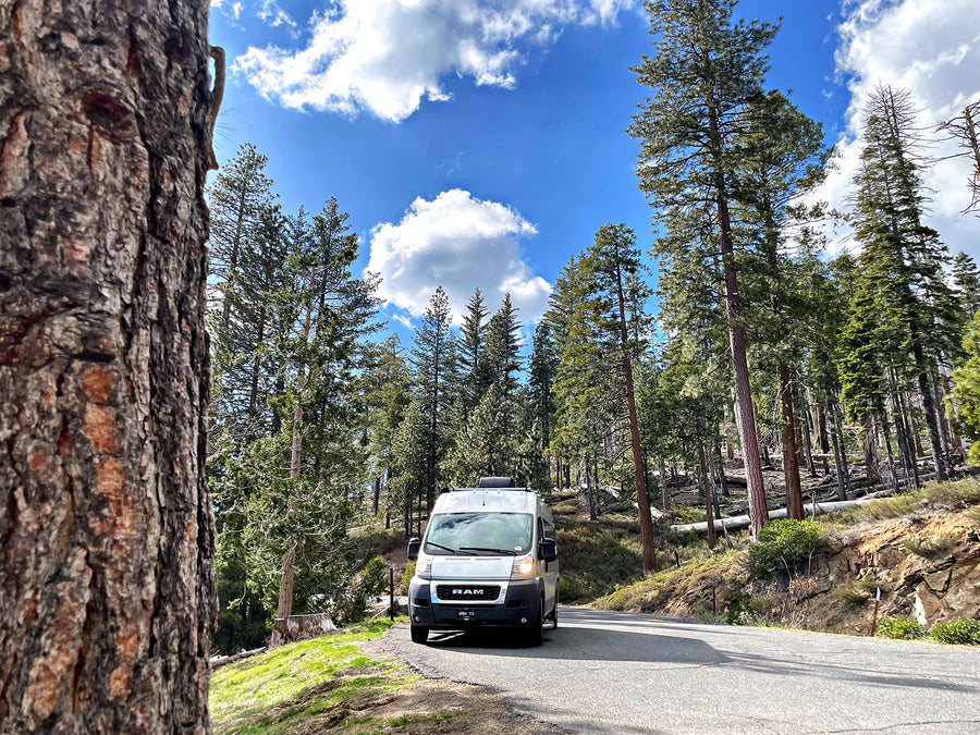White RV rental on a winding mountain road, surrounded by tall pine trees & bright blue sky.