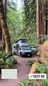 Grey RV rental camper van parked on a forest path amidst towering redwoods and ferns. Explore nature!
