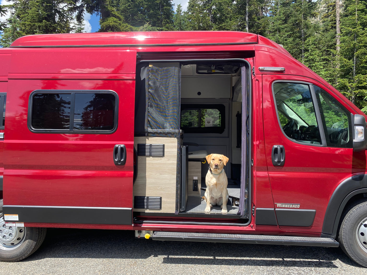 A happy yellow lab sits in a red Winnebago rv rental. This cozy camper van is ready for its next adventure!
