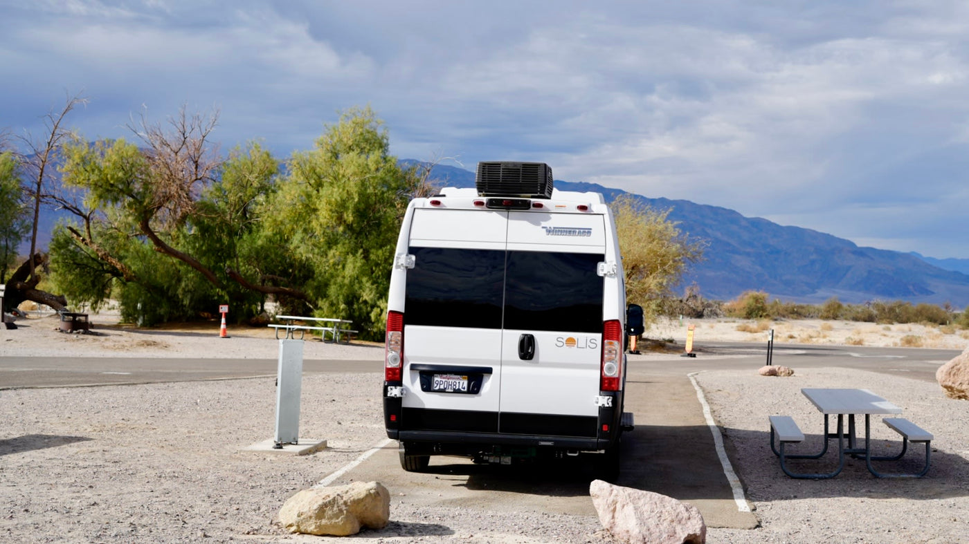  and gnarled tree.|This white Winnebago RV rental van — photo 3