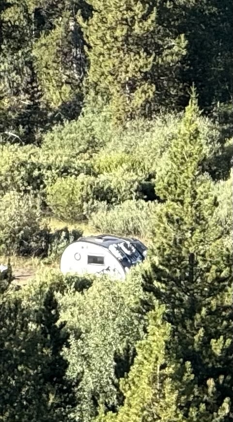 Small white teardrop RV rental parked amidst lush green trees and bushes, suggesting a secluded camping spot in nature.