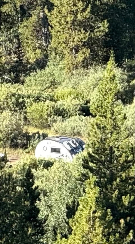Small white teardrop RV rental parked amidst lush green trees and bushes, suggesting a secluded camping spot in nature.