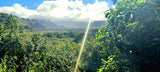 Sun-drenched, lush green mountains and forests under a cloudy sky. Perfect scenery for an RV rental adventure.
