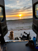 Rovr: A 2023 Winnebago 4x4 Revel! Mercedes Sprinter chassis.