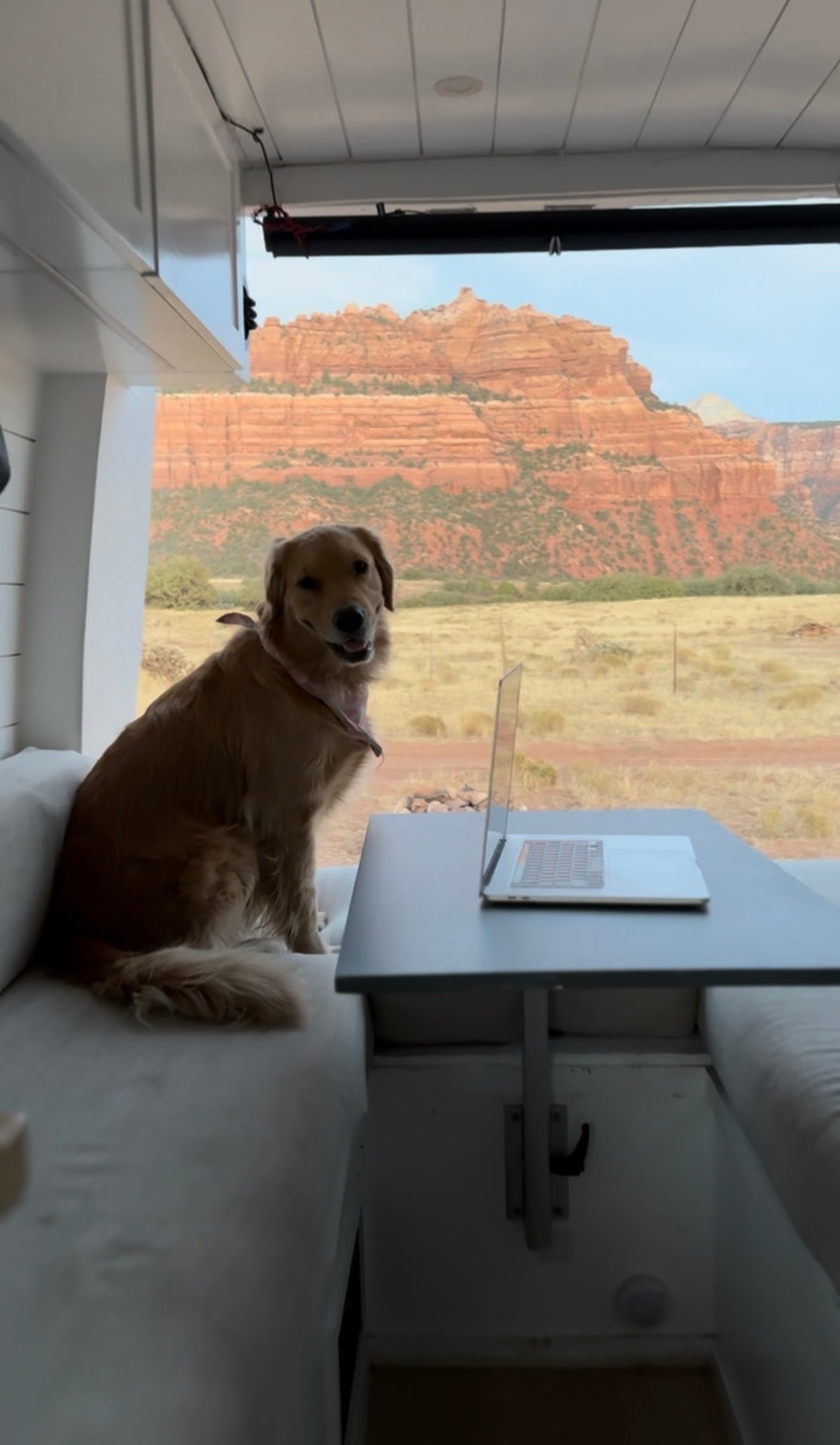 Custom Build Luxury Off-Grid Apartment on Wheels (Dog Friendly) — photo 7