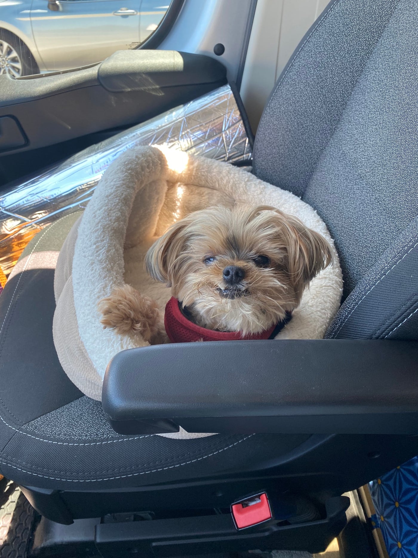  and tortillas.|Woman & dog in their Pleasure-Way camper van — photo 19