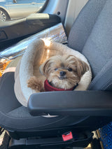 A happy, fluffy dog snuggled in its cozy bed on a vehicle seat, enjoying the journey in an RV rental.