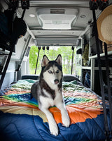 A beautiful husky with blue eyes rests on a colorful bed inside a spacious rv rental. Ideal for pet-friendly road trip adventures.