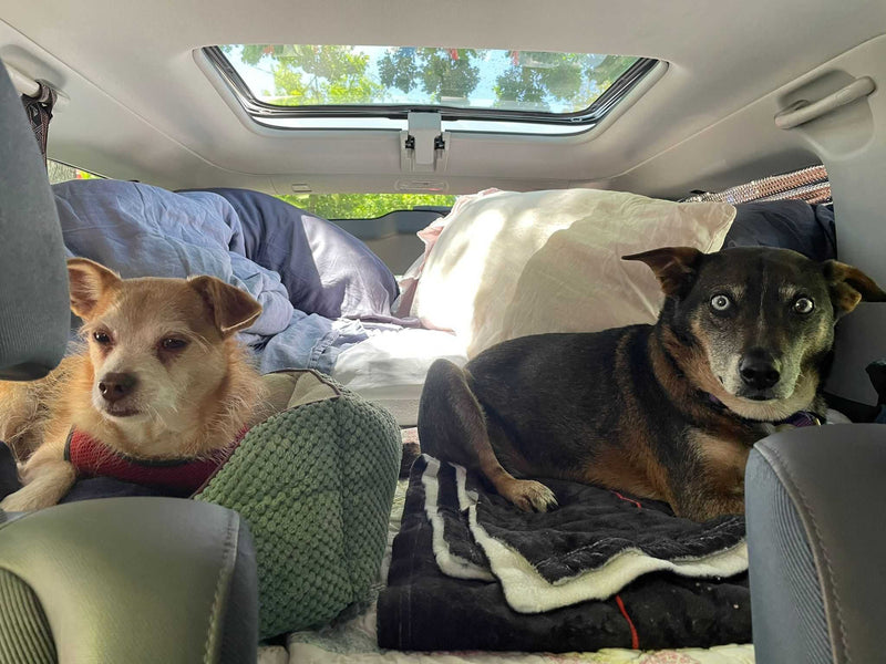 Boxy the Mini-Overland Camper — photo 4