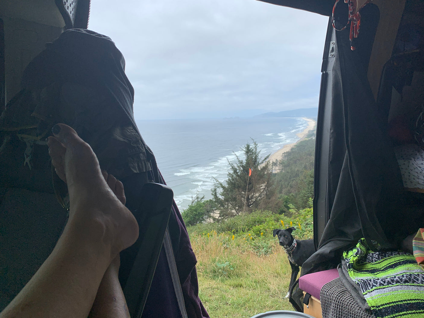 Mystery Machine 3000 - 2019 Ram Promaster Wayfarer High Top #vanlife