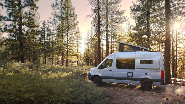 RV rental: A modern camper van with a pop-top, parked in a serene forest with golden sunlight filtering through tall pine trees.