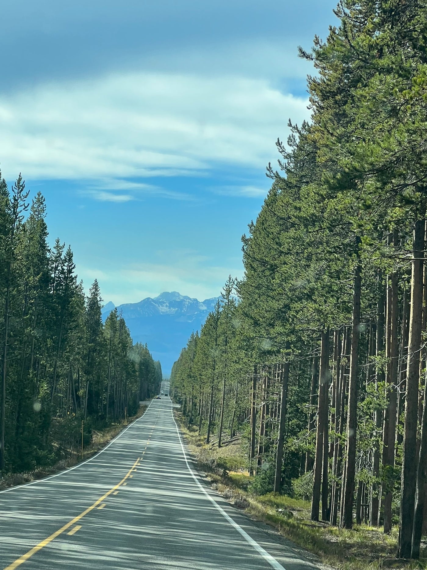 Drive your RV rental on this scenic road flanked by tall pine trees, leading to distant snowy mountains under a bright sky. — photo 16