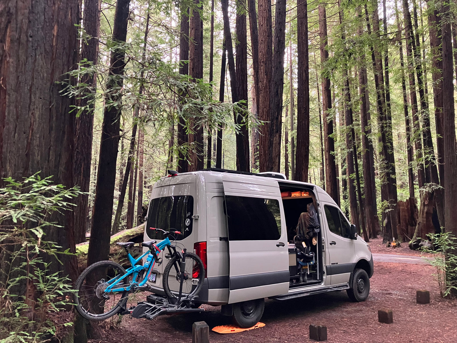 RV rental van parked in a serene redwood forest with bikes, ready for outdoor adventure and exploring nature.