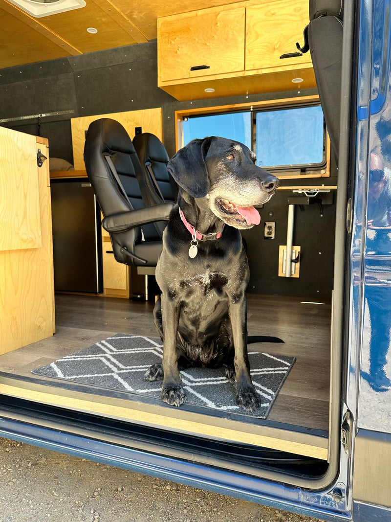  enjoying the view from the open door.|rv rental van: cozy interior with a multi-purpose dining table — photo 2