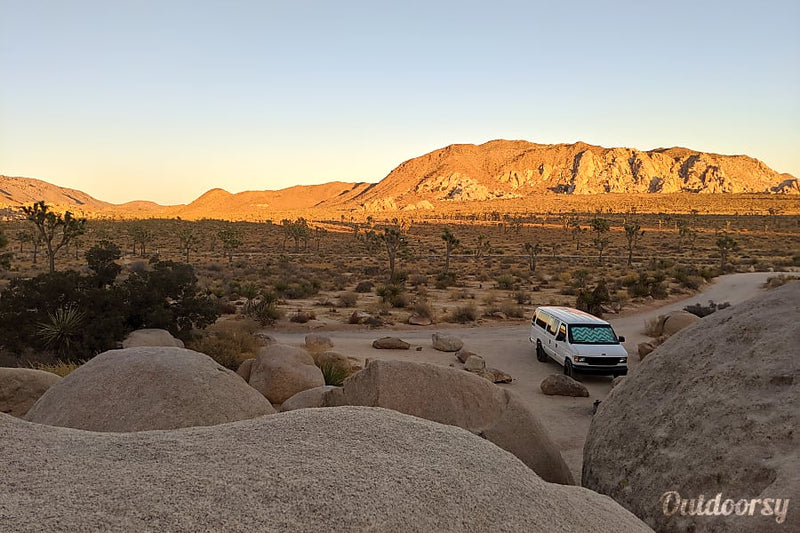  and Joshua trees. — photo 4