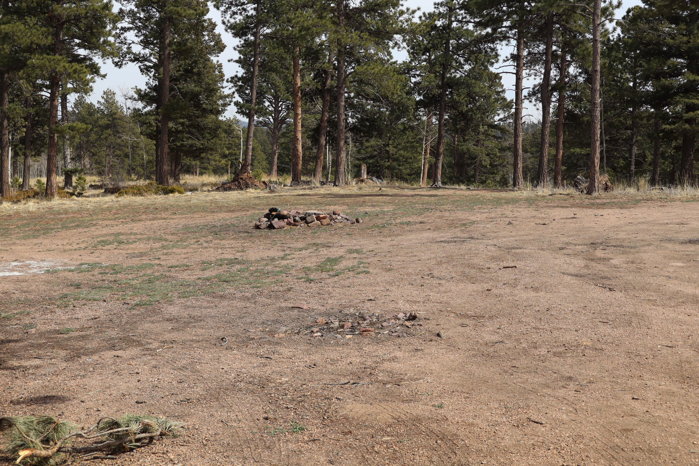 Rustic forest clearing with two rock fire pits, ideal for an RV rental camping spot among tall pine trees.