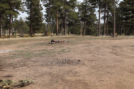 Rustic forest clearing with two rock fire pits, ideal for an RV rental camping spot among tall pine trees.