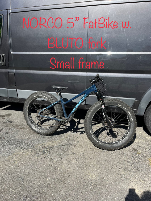 Stylish Converted Camper Van (Dodge Ram Promaster) — photo 2