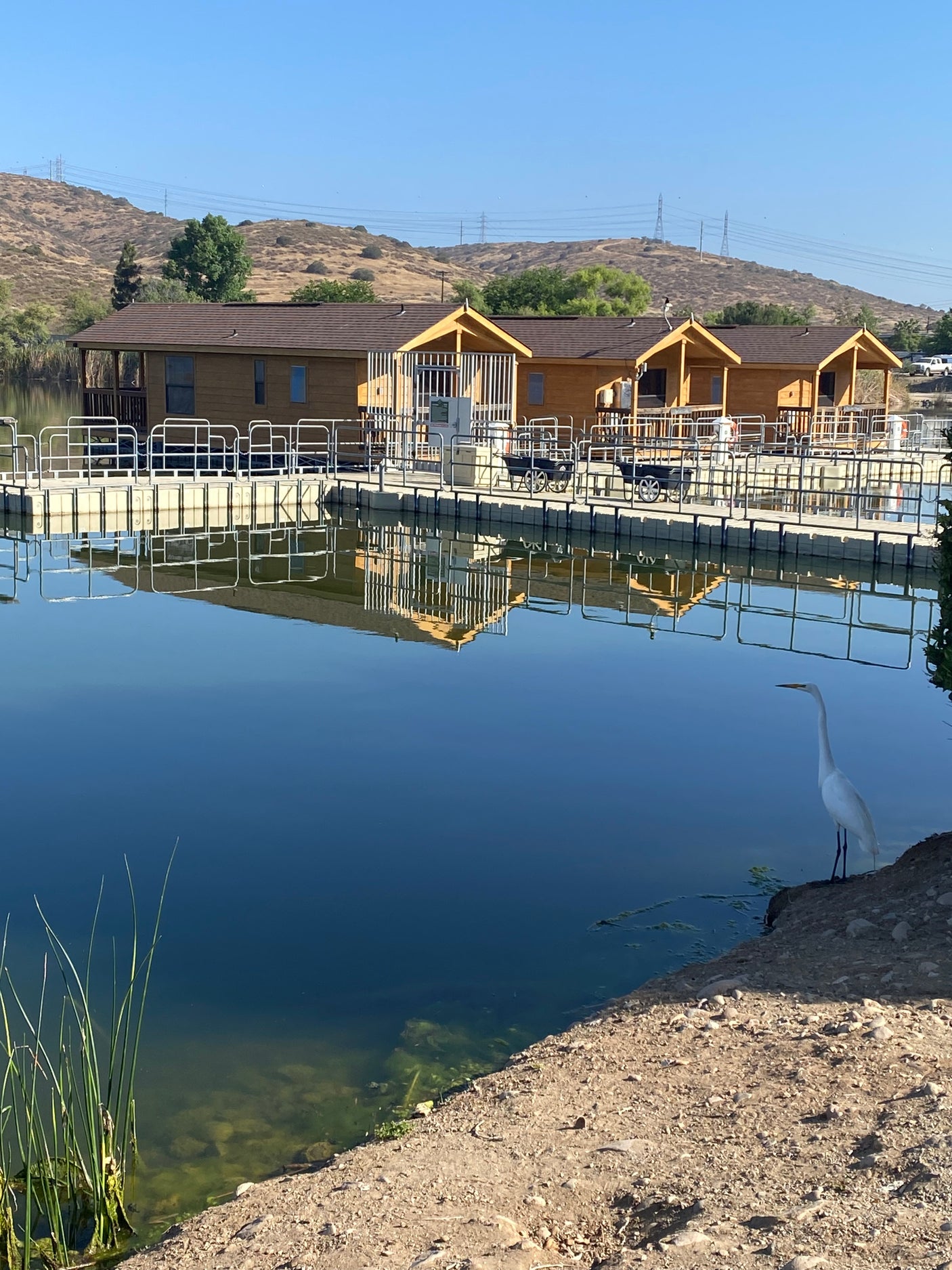 Serene lake scene featuring wooden cabin rentals and an egret. Explore diverse lodging near RV rental options.