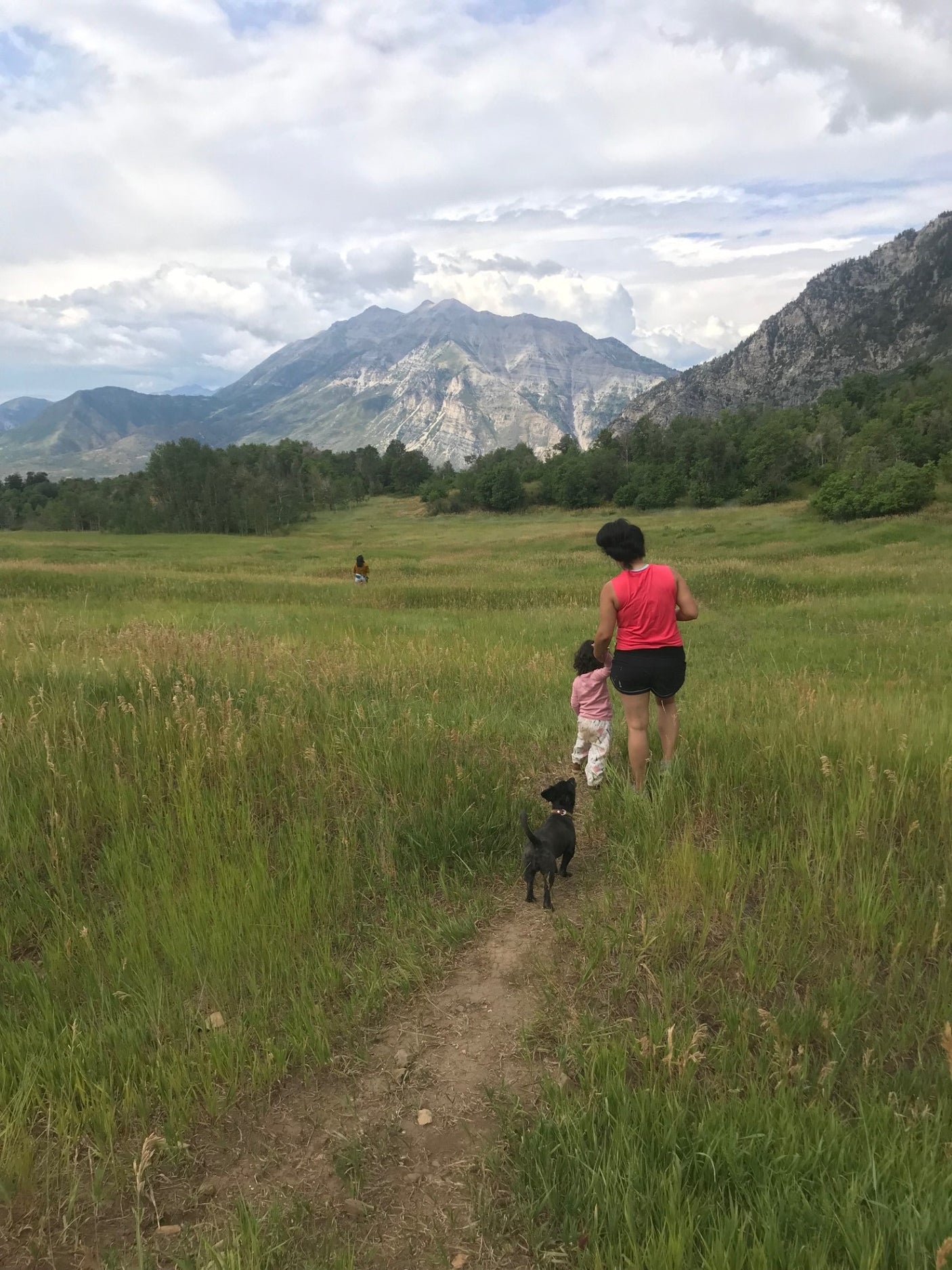 A person, child, and dog walk a path through a lush mountain valley, an ideal RV rental destination.