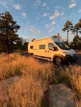 White camper van RV rental gleaming in golden hour sun amidst tall grasses and trees. Your nature adventure awaits!