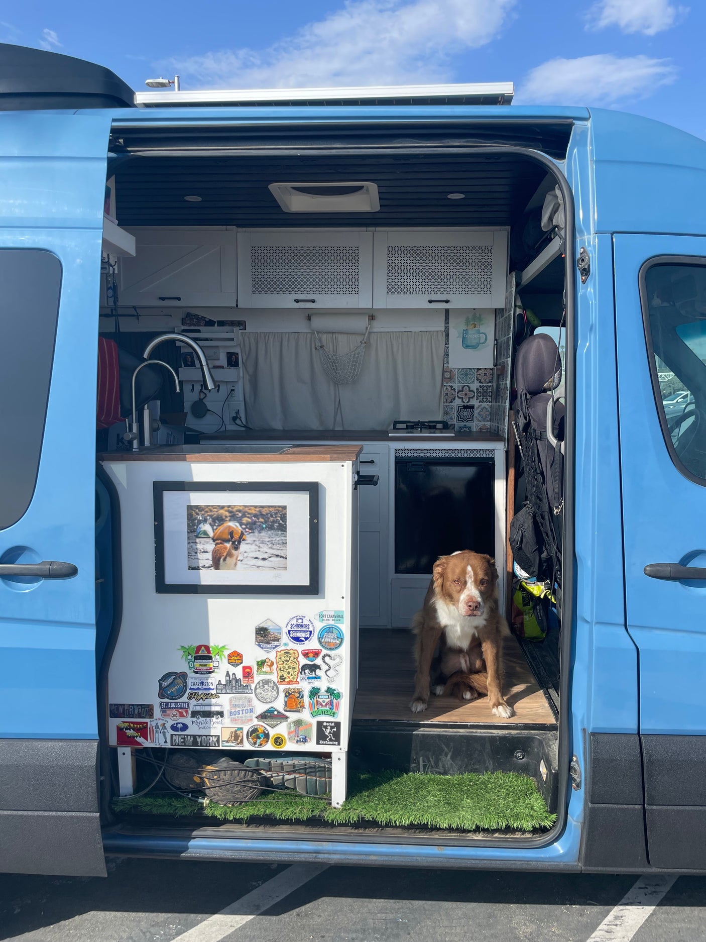 Inside a light blue rv rental: a cozy camper van conversion with kitchen, travel stickers, and a dog enjoying the view.