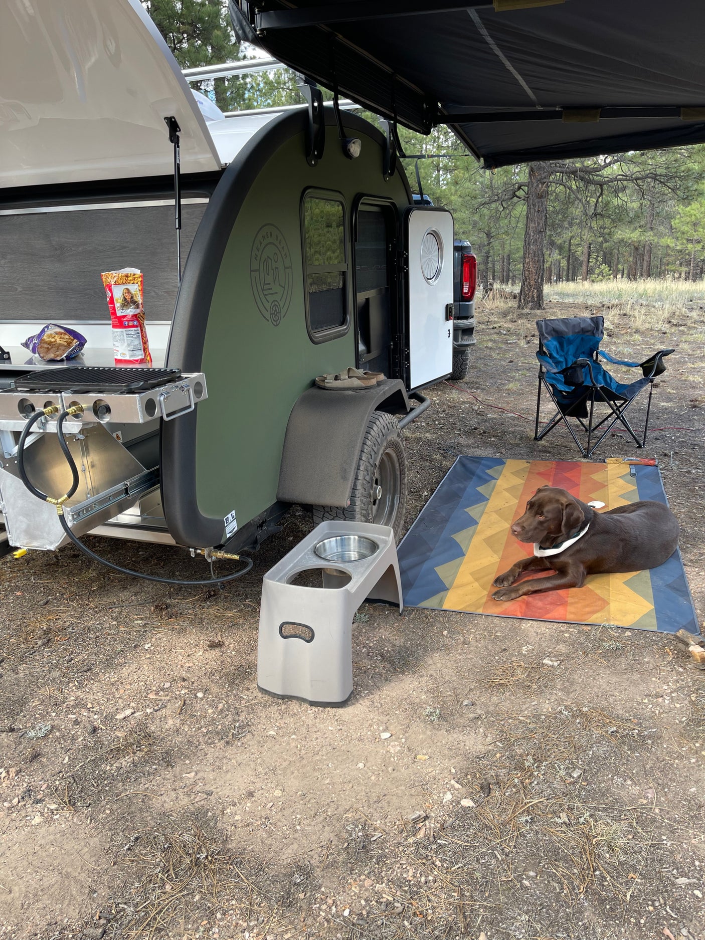 RV rental setup: A green teardrop trailer with an extended awning, grill, and a dog relaxing on a mat in a forest campsite.