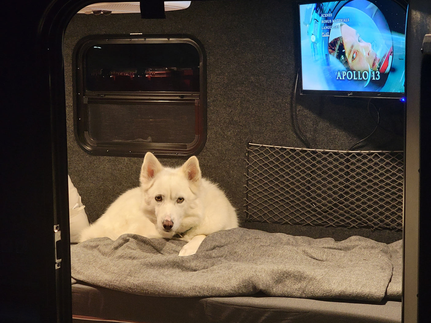A white dog is comfortably settled inside an RV rental, watching Apollo 13 on the mounted TV. Cozy travel setup.