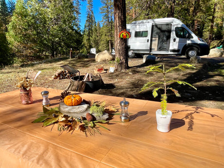 Adventure Van w/ Shower, Kitchen & Solar | Explore Mountains, Lakes & Beach