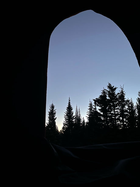 Forest view from an RV rental: silhouetted evergreen trees against a blue twilight sky.