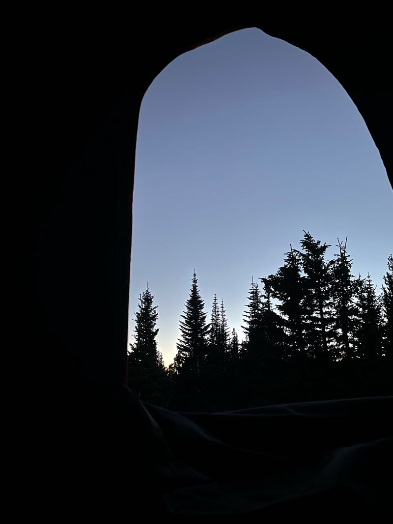 Forest view from an RV rental: silhouetted evergreen trees against a blue twilight sky. — photo 16