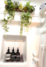 RV rental shower: decorative plants, Aesop toiletries, and an organized recessed shelf.