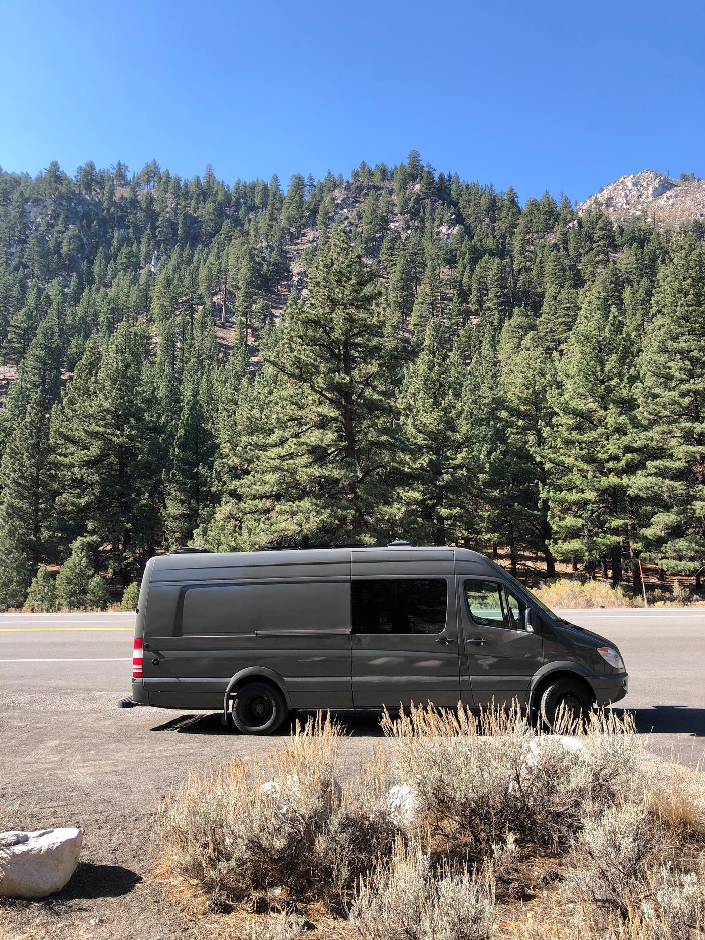 Gray camper van on a mountain road beside pine trees. Your next RV rental adventure awaits here!