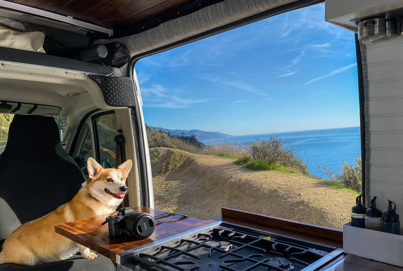 Cozy RV rental adventure: a corgi enjoys ocean views & van comforts, with a stove and camera inside.